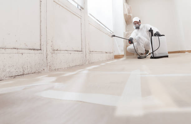 24/7 Emergency Mold Remediation experts in Aberdeen, MD